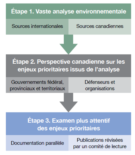 étape 1. Vaste analyse environnementale